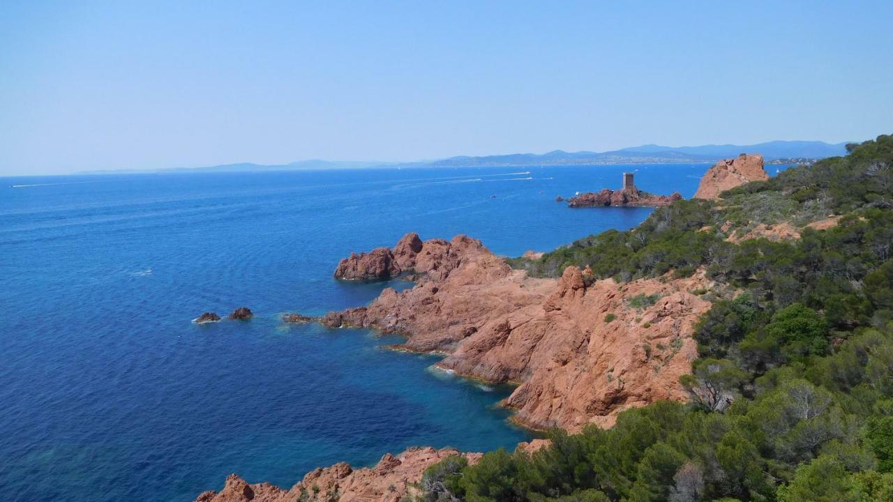 Grand Appartement Dans Maison Avec Piscine Privee Fréjus 外观 照片