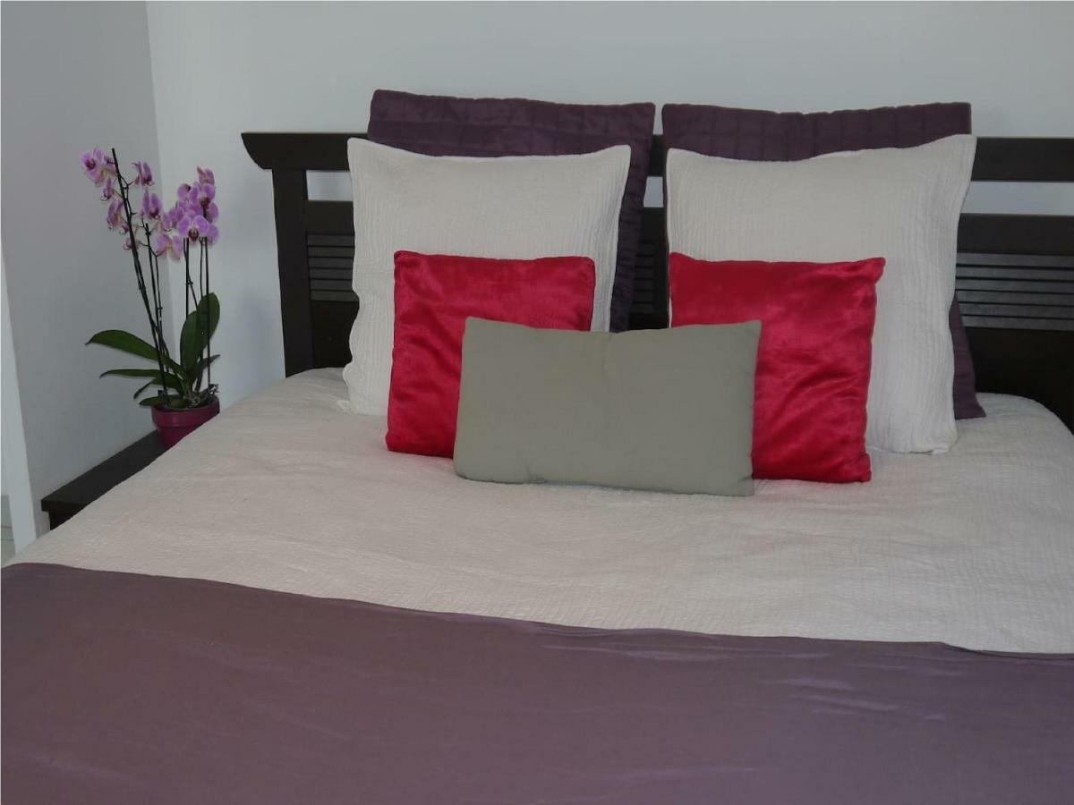 Grand Appartement Dans Maison Avec Piscine Privee Fréjus 外观 照片